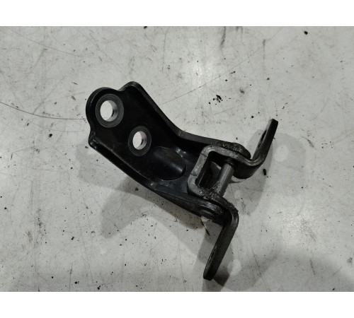 Петля двери(задняя левая нижняя)