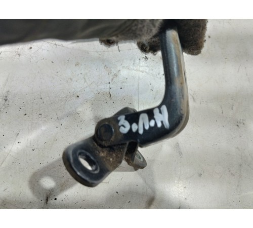 Петля двери(задняя левая нижняя)