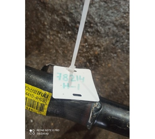 Скелет торпеды