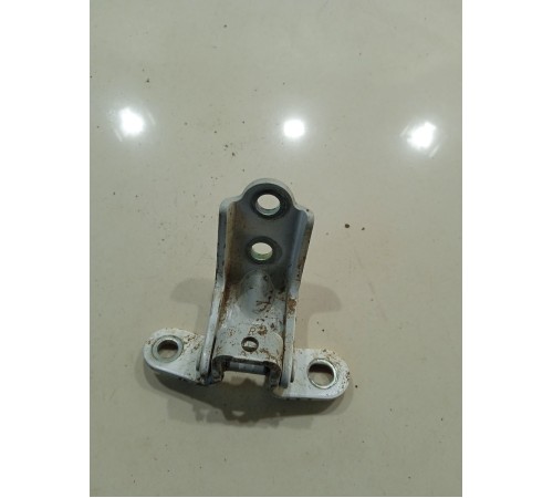 Петля двери(передняя левая нижняя)