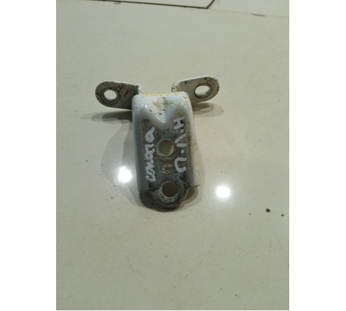 Петля двери(передняя левая нижняя)