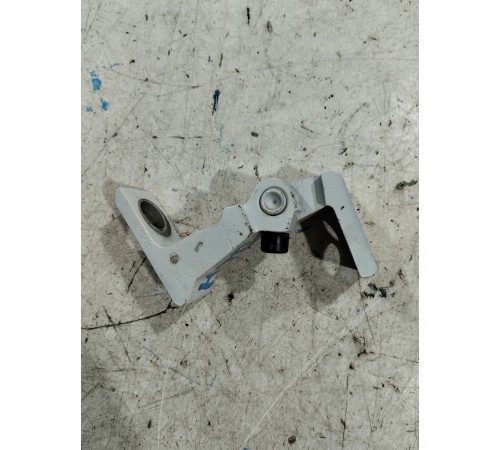 Петля двери(задняя левая нижняя)