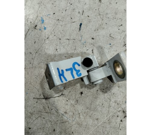 Петля двери(задняя левая нижняя)