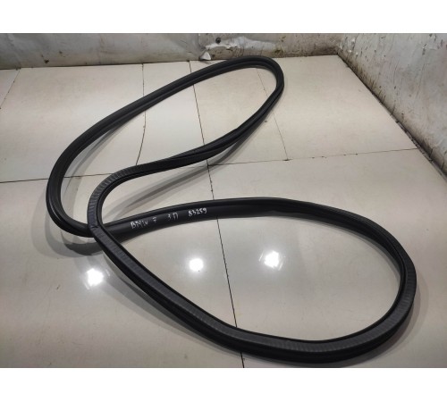 Уплотнитель двери(задний правый)