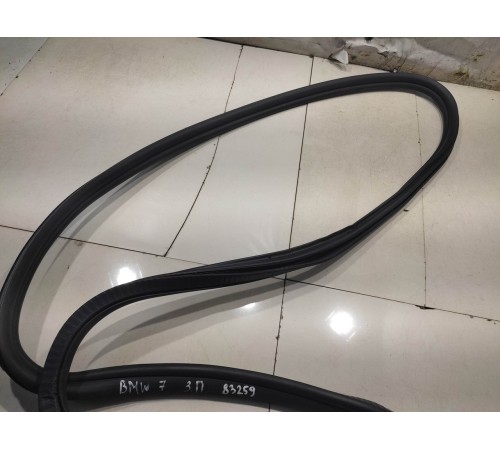 Уплотнитель двери(задний правый)