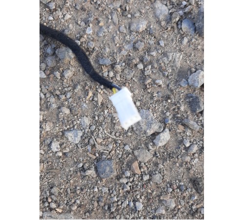 Электропроводка салона