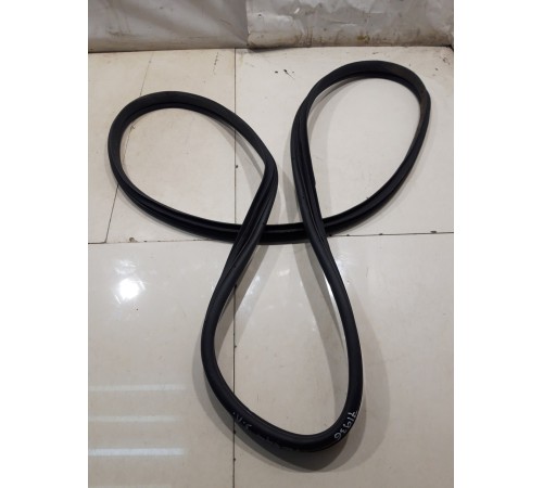 Уплотнитель двери (задний, левый)