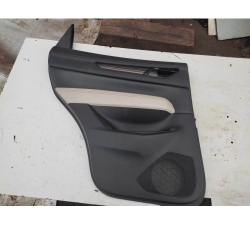 Обшивка двери (задняя левая)