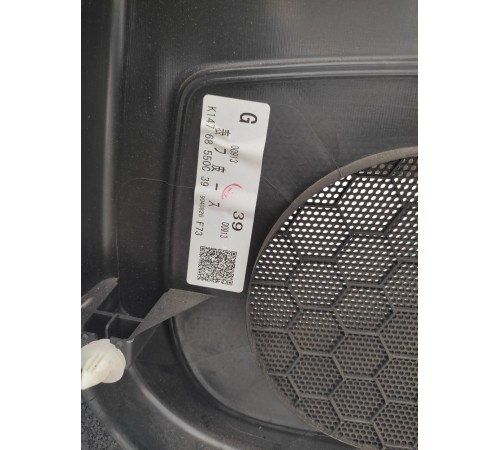 Обшивка двери (задняя левая)