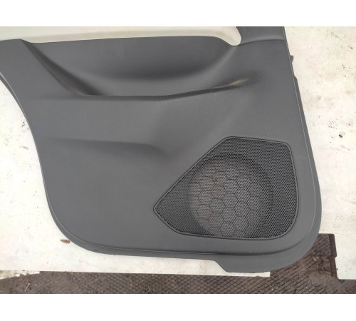 Обшивка двери (задняя левая)