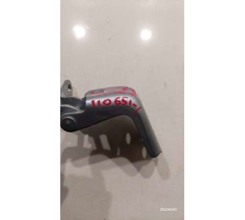 Петля двери(задняя левая нижняя)