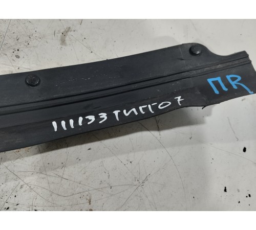 Пыльник двери передний правый