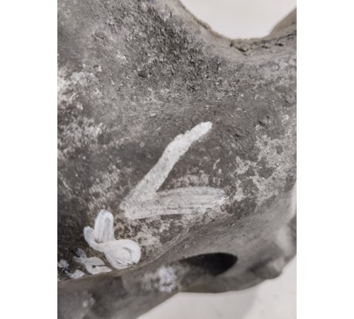 Кулак поворотный(задний левый)