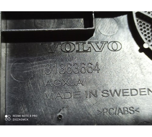 Сетка динамика торпедо