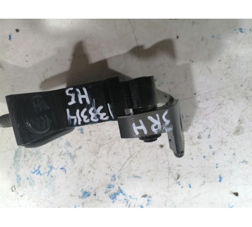 Петля двери задняя правая