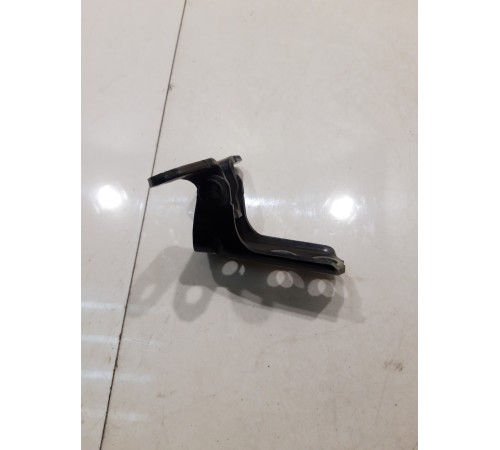 Петля двери (передняя, левая, верхняя)