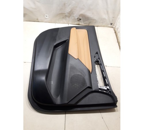 Обшивка двери(передняя левая)