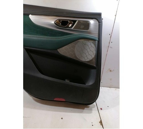 Обшивка двери задняя левая