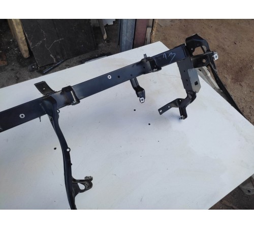 Скелет торпедо