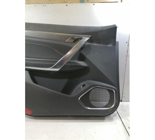 Обшивка двери передняя левая