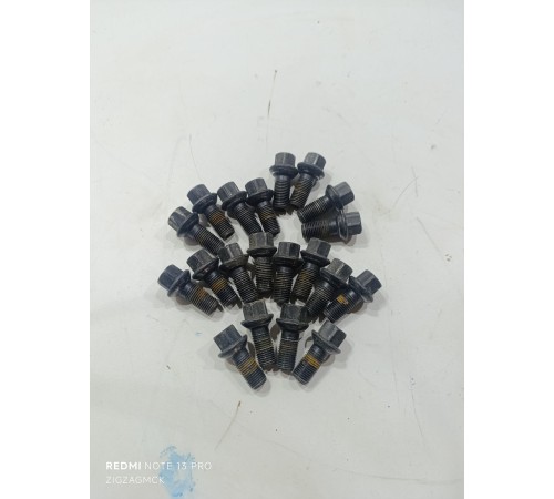 Комплект колесных болтов 20 шт