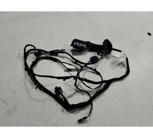 Электропроводка двери (задняя правая)