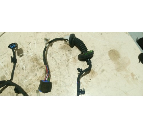 Электропроводка Двери Задней Левой