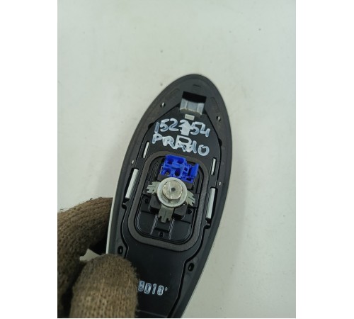 Антенна (плавник)