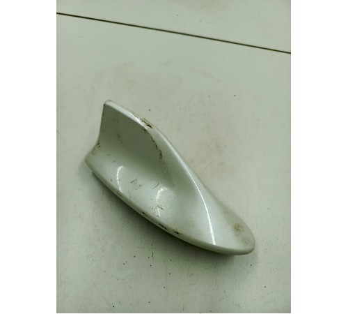 Антенна (плавник)