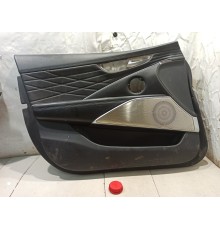 Обшивка двери(передняя левая)