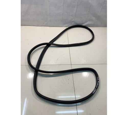 Уплотнитель двери (задний, левый)