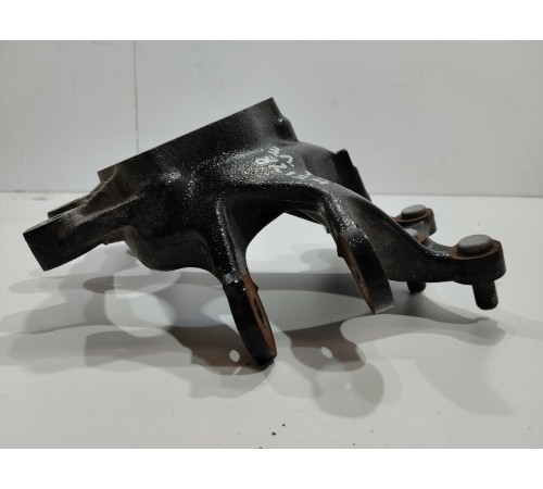 Поворотный кулак(задний левый)