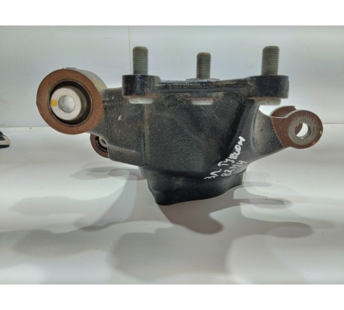 Поворотный кулак(задний левый)