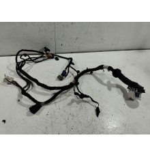 Электропроводка двери (передняя левая)