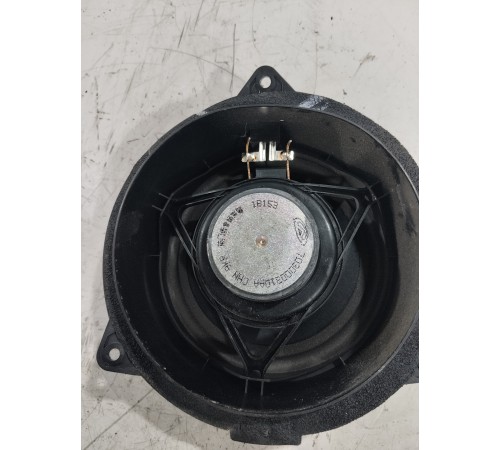 Динамик двери (передний левый)