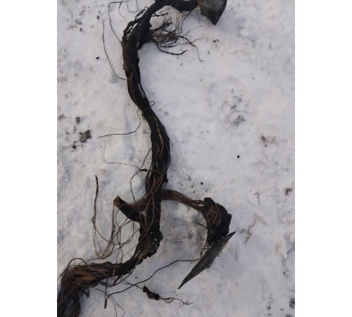 Электропроводка подторпедная