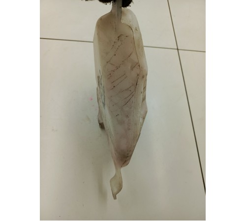 Бачок расширительный