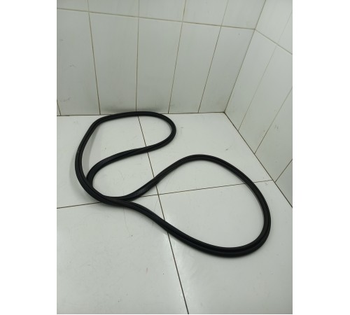 Уплотнитель двери задний левый