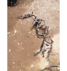 Электропроводка моторная