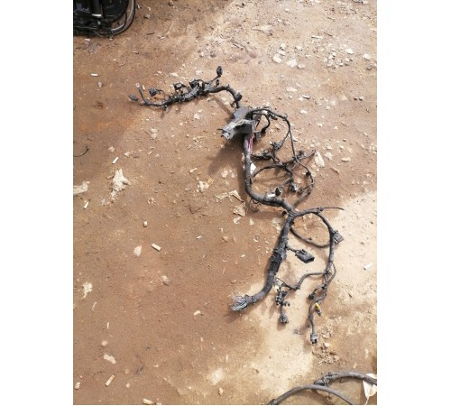 Электропроводка моторная