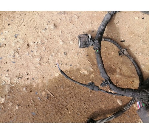 Электропроводка моторная