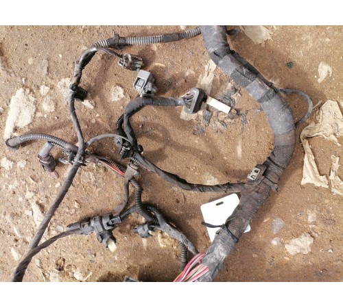 Электропроводка моторная