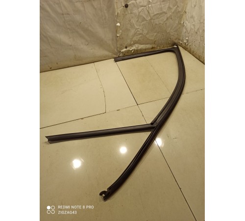 Уплотнитель(молдинг) двери(передний левый)