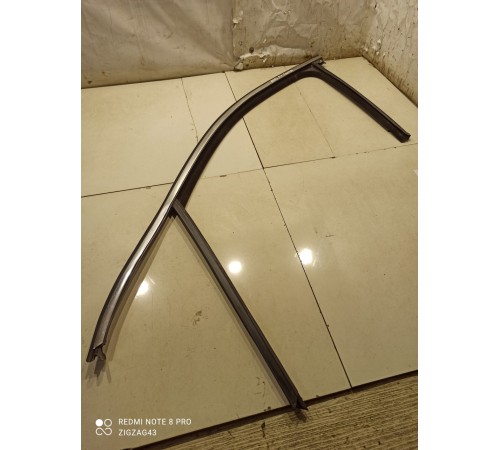 Уплотнитель(молдинг) двери(передний левый)