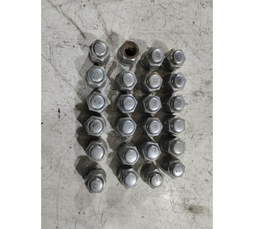 Комплект колесных гаек (24 шт.)