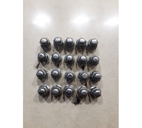 Комплект колесных гаек(20шт.)