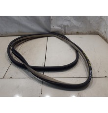 Уплотнитель двери (задний, левый)