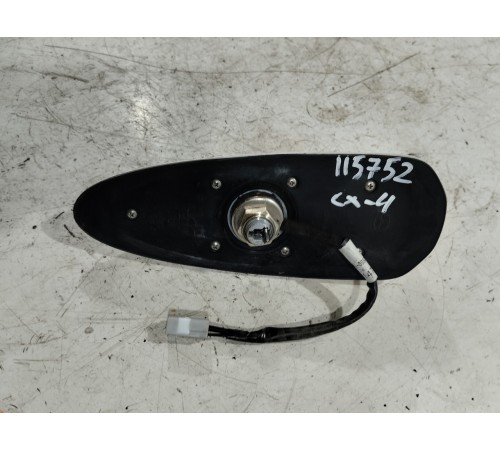 Антенна (плавник)