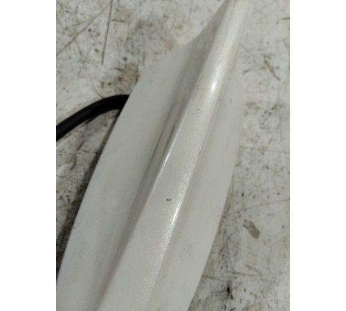 Антенна (плавник)