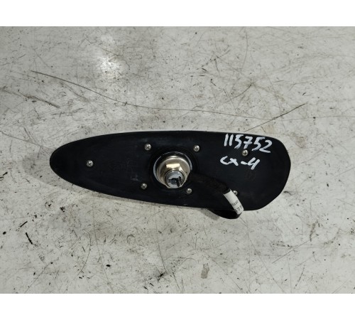 Антенна (плавник)